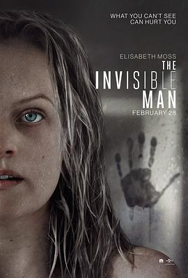 2020 隐形人 The Invisible Man/隐身人 / 隐形客(港)